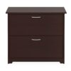 2-Drawer Lateral File Cabinet in Cherry Wood Finish