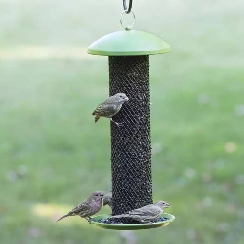 Outdoor Metal Mesh Tube Hanging Bird Feeder with Green Top and Perch Outdoor Metal Mesh Tube Hanging Bird Feeder with Green Top and Perch